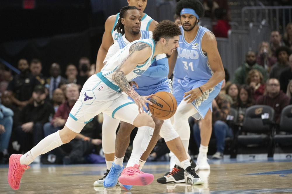 性价比极高 性价比极高